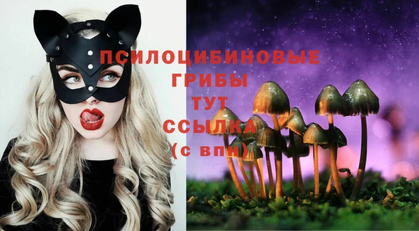 MDMA Premium VHQ Алексеевка