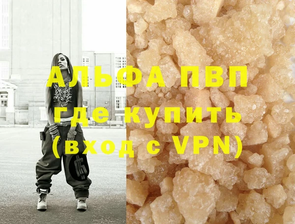 прущие грибы Вязьма