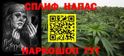 ПСИЛОЦИБИНОВЫЕ ГРИБЫ Кандалакша