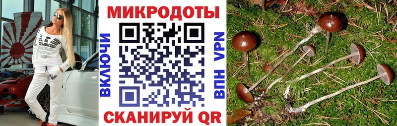 hydra как зайти  где купить наркоту  Лабинск  Галлюциногенные грибы мухоморы 