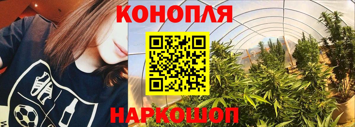 Бошки Шишки MAZAR Лабинск